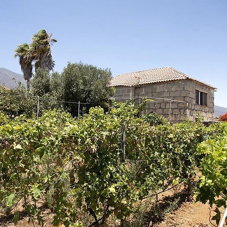 Las Tres Palmeras غيمار المظهر الخارجي الصورة